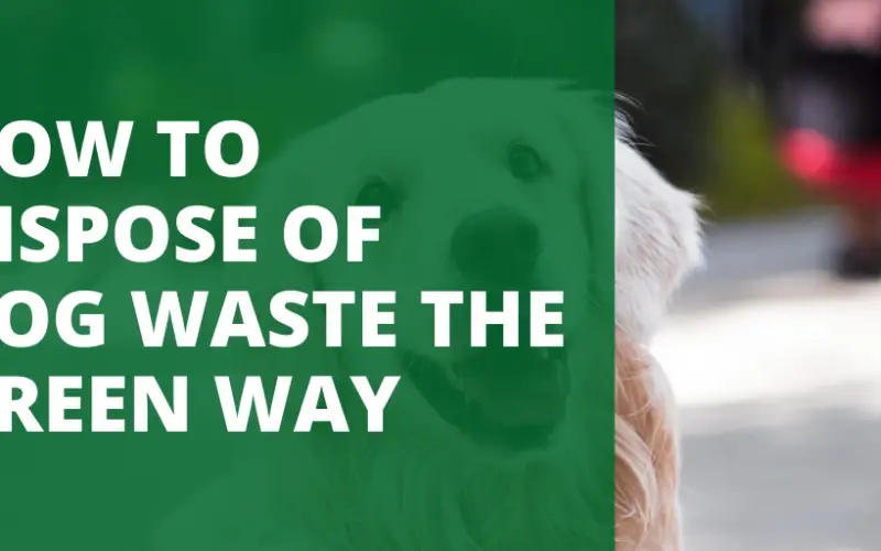pet waste removal Carmel Indiana