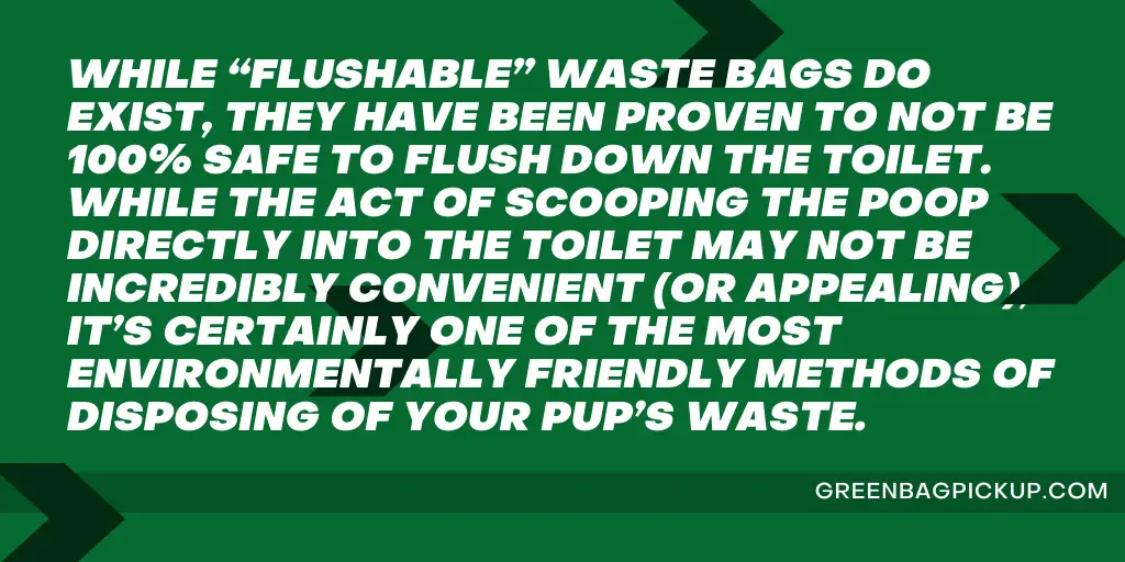 HOW TO DISPOSE OF DOG WASTE THE GREEN WAY 2 amina copy GREENBAGPICKUP.COM 20