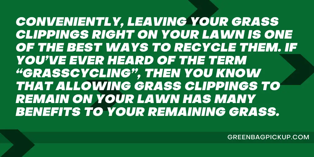 HOW TO DISPOSE OF GRASS CLIPPINGS 2 amina copy GREENBAGPICKUP.COM 70