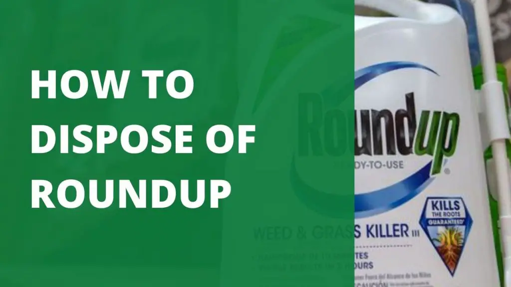 4 Best Ways to Safely Dispose of Roundup with Additional Tips