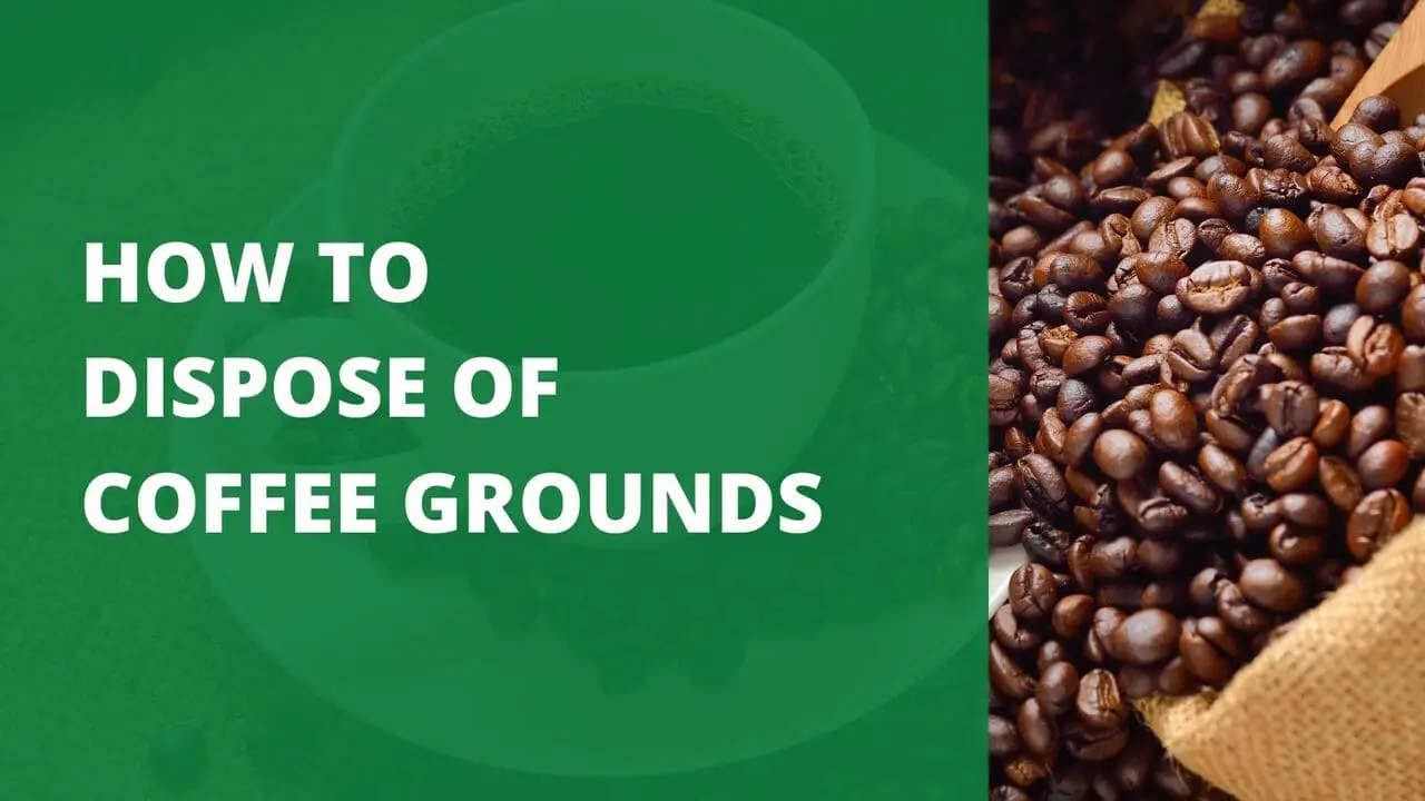 How To Dispose Of Coffee Grounds