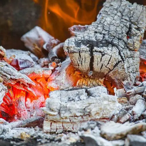 How to Dispose of Ashes from a Fireplace 2 4. Disposing of Ashes