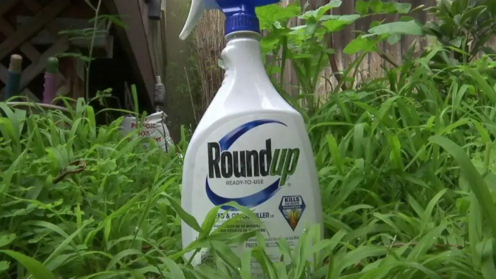 How to Dispose of Roundup