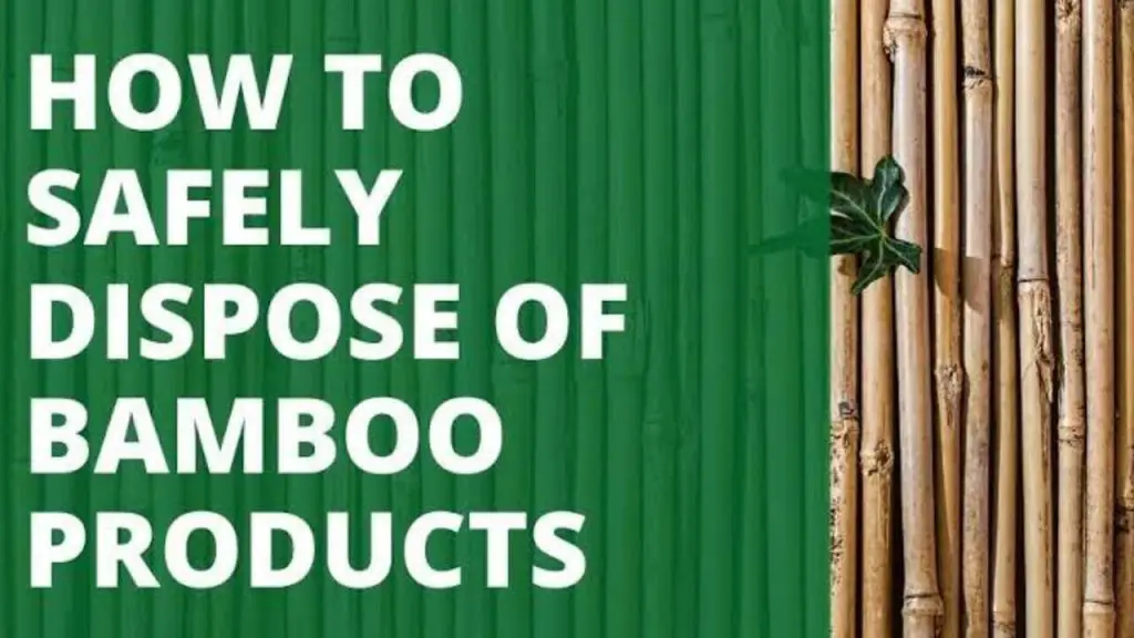 How to Dispose of Bamboo Products [A Complete Guide]