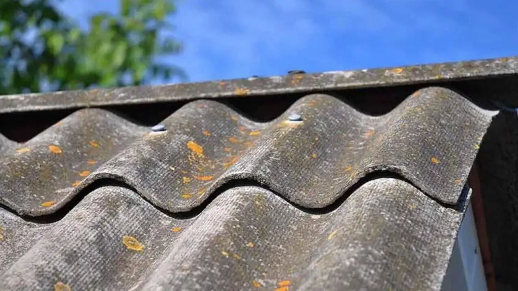 How to Dispose of Corrugated Asbestos Sheets 1 How to Dispose of Corrugated Asbestos Sheets