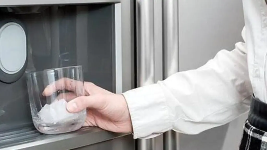 Refrigerator Water Filters