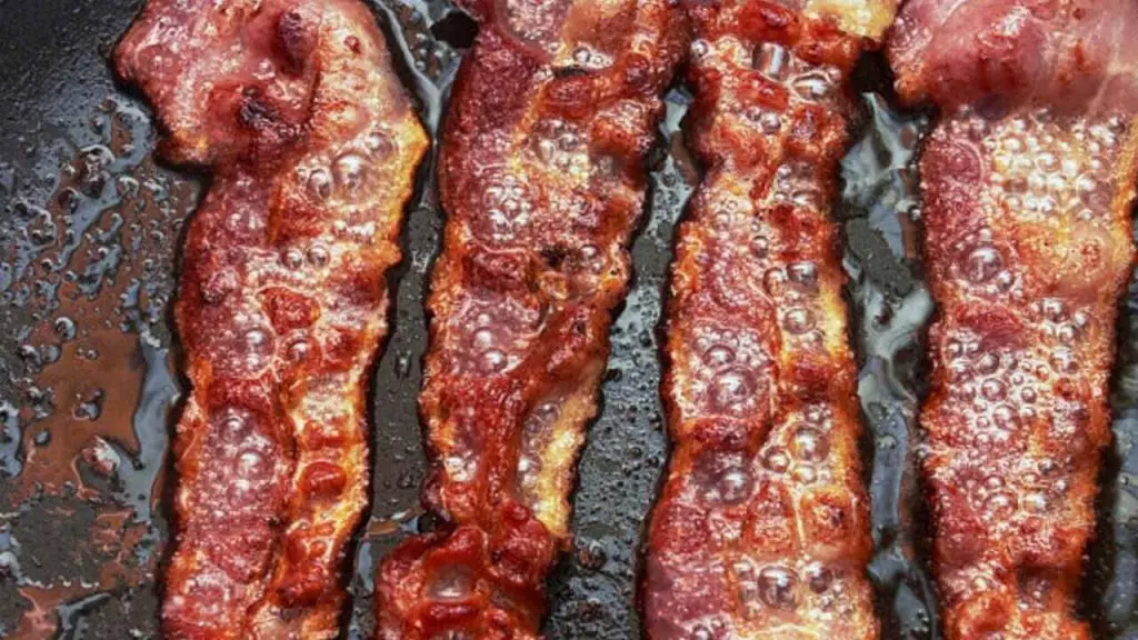 How to Dispose of Bacon Grease: 6 Best Ways 2 Bacon Grease