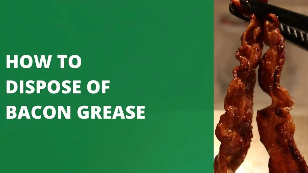 HOW TO DISPOSE OF BACON GREASE [5 SIMPLE TIPS]