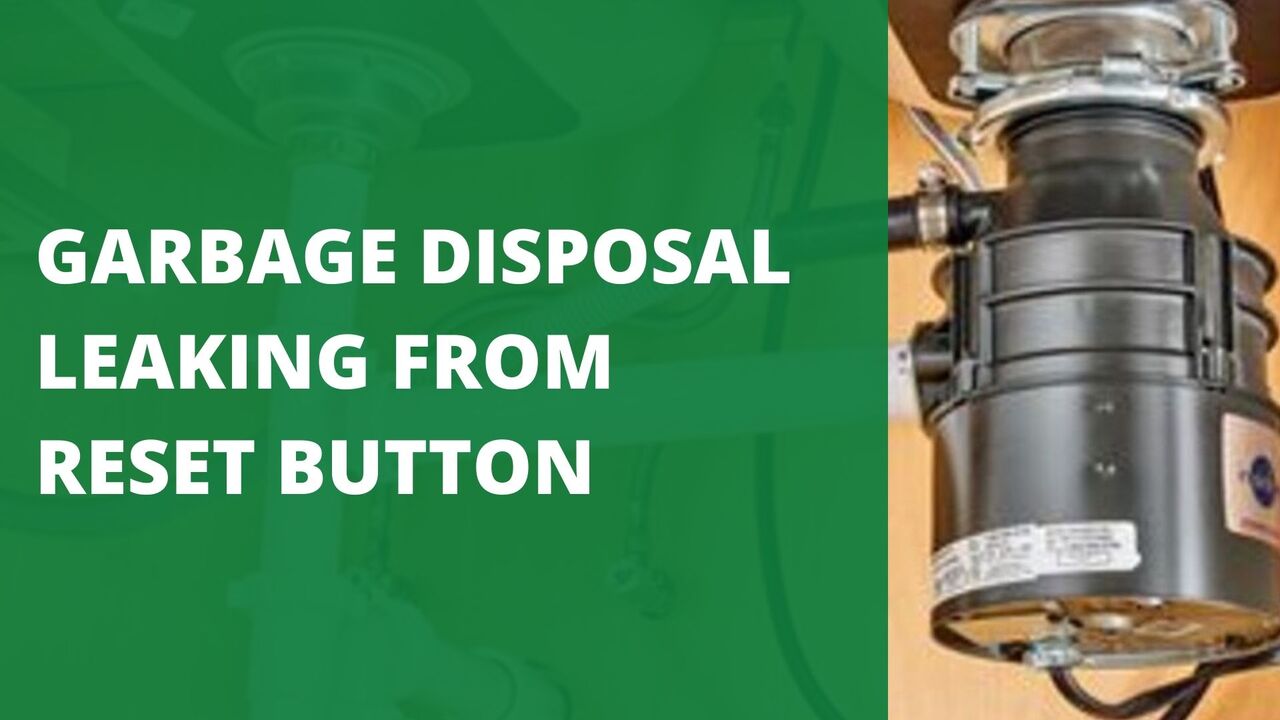 Garbage Disposal Leaking from Reset Button