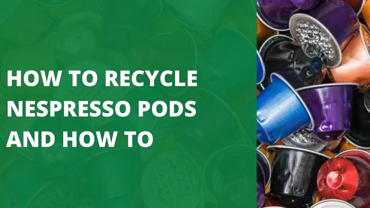 How to Recycle Nespresso Pods and How to