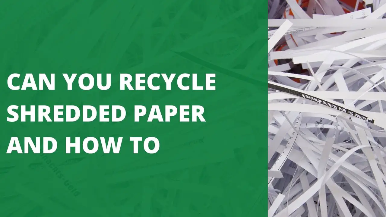 Can you Recycle Shredded Paper and How to
