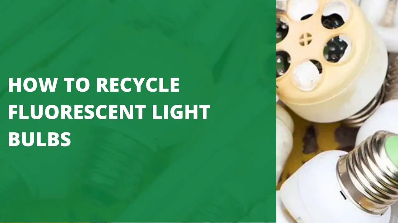 How to Recycle Fluorescent Light Bulbs