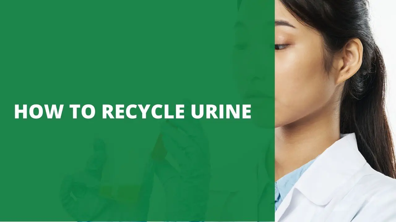 How to Recycle Urine