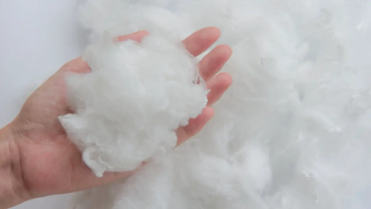 How To Recycle Polyester [A Guide to Recycling]