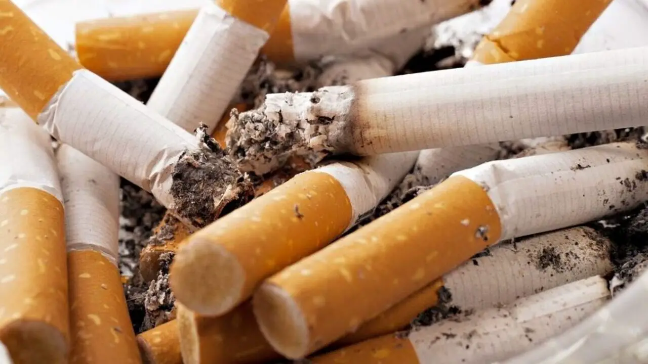 How to Recycle Cigarette Filters [Best Ways To Recycle]