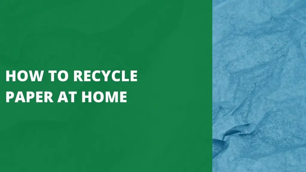 How To Recycle Paper At Home [Recycle in 7 Easy Steps]
