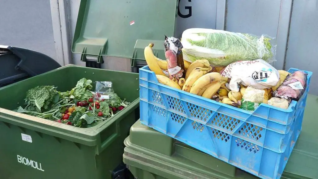 How To Dispose of Expired Food 2 food