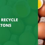 How To Recycle Egg Cartons